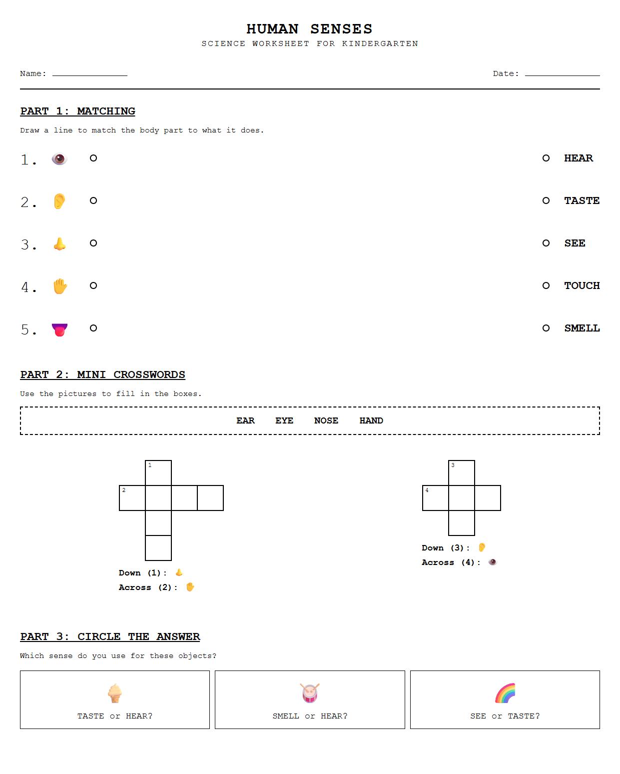 Human Senses Crossword and Word Matching Exercise