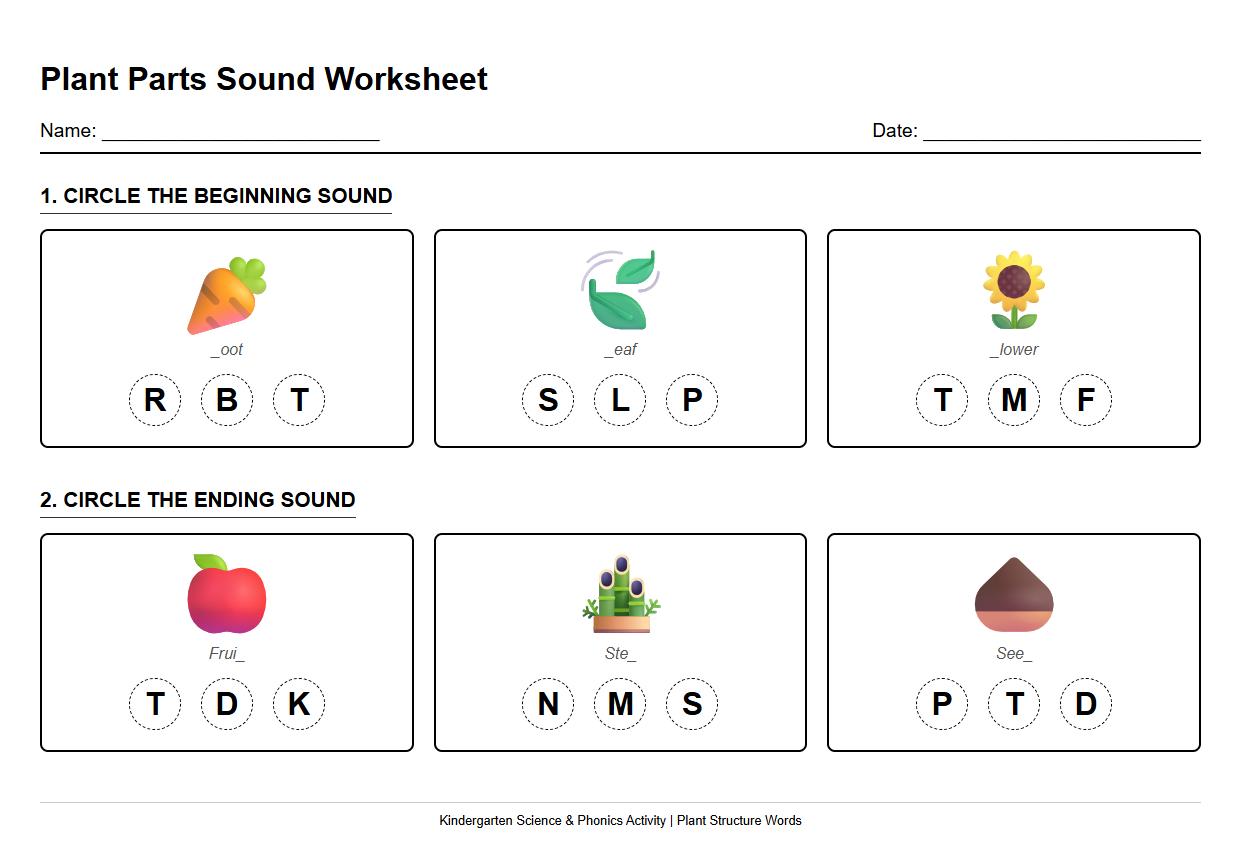 Initial and Final Sound Detection Using Plant Structure Words