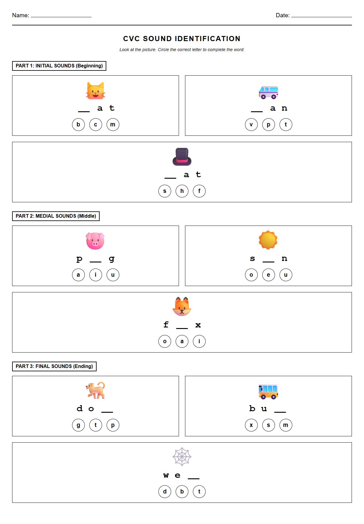 Initial Medial Final Sound Identification with CVC Words