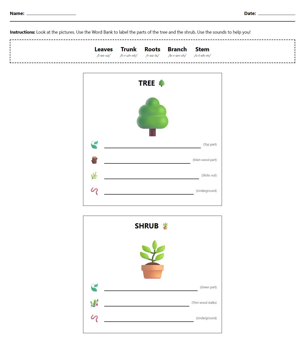 Labeling Diagram Worksheet for Parts of Trees and Shrubs with Phonetic Cues