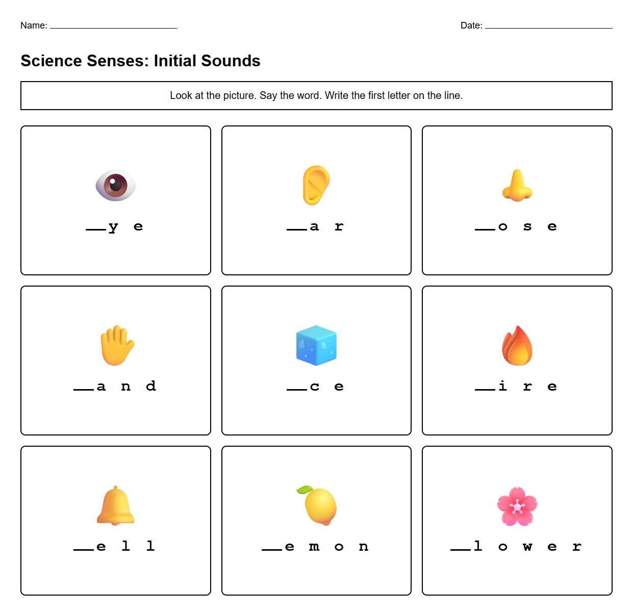 Sensory Word Picture Phonics Initial Sound Identification