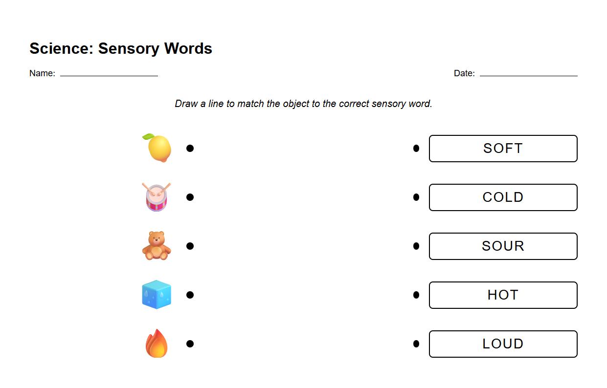 Sensory Words Picture to Word Matching Worksheet