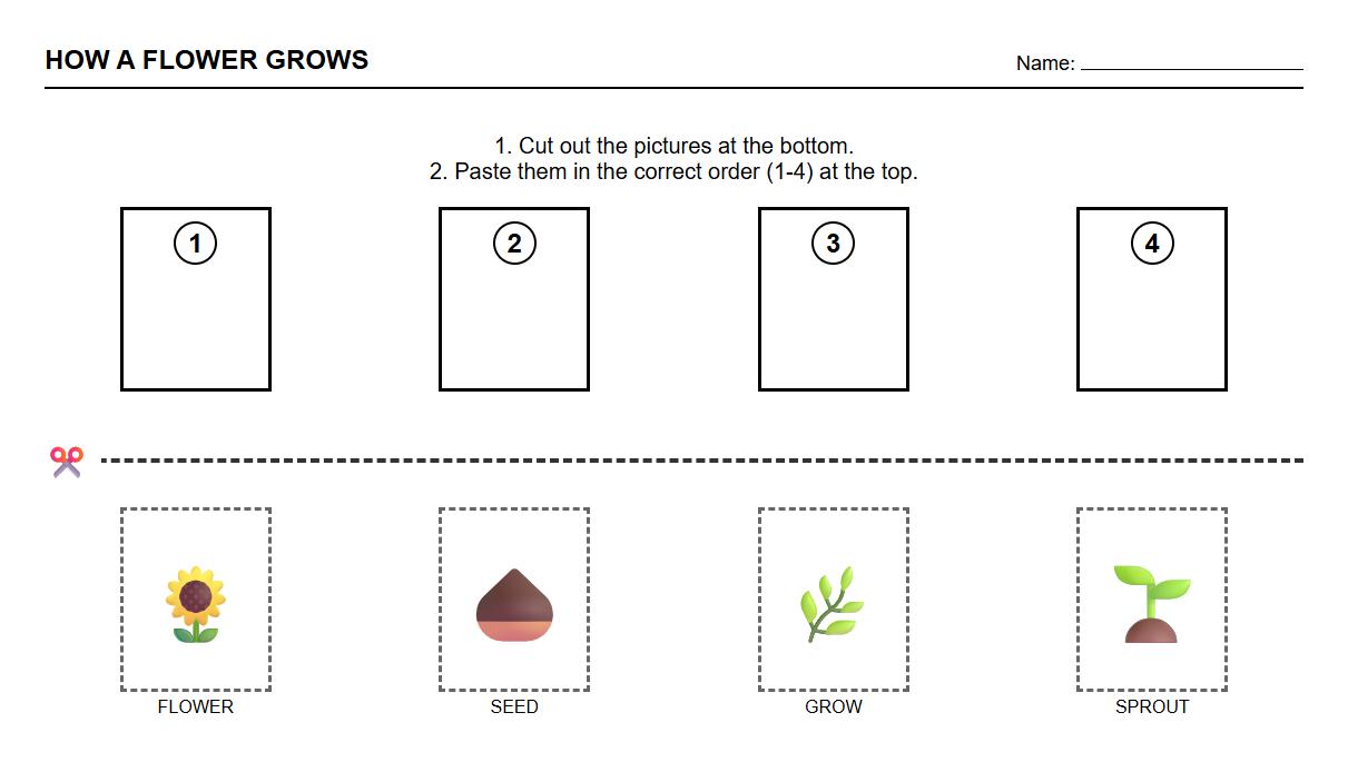 Sequencing Scissor Cutting Skills Worksheet