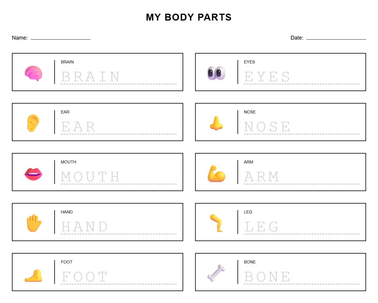 Simple Anatomy Word Tracing with Label Guides