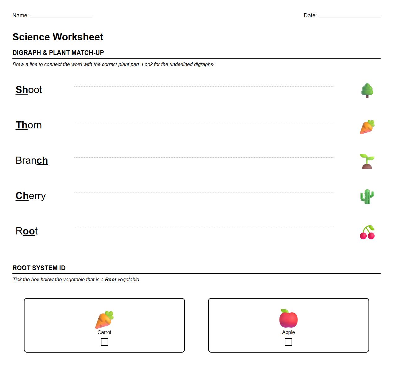 Digraph and Root System Match-Up Worksheet