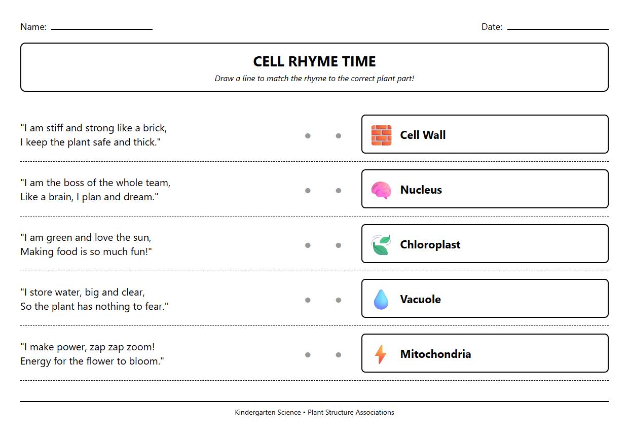 Rhyme and Plant Cell Structure Association Sheet