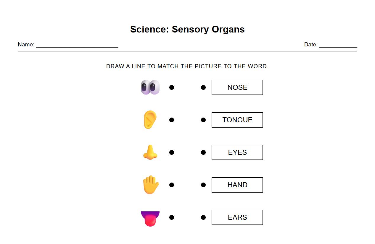 Sensory Organs Picture to Word Match