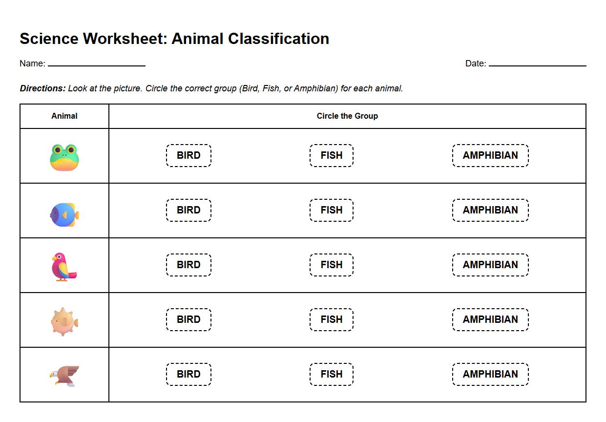Animal Classification Worksheet by Amphibians Fish Birds