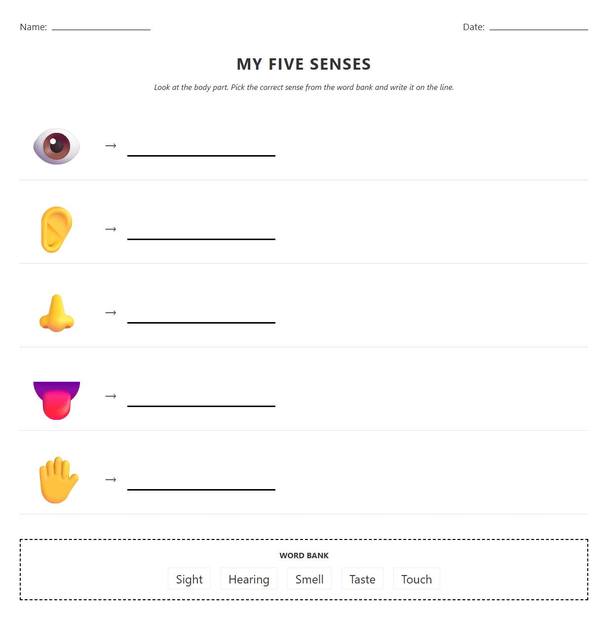 Five Senses Labelling Worksheet Using Anatomical Diagrams