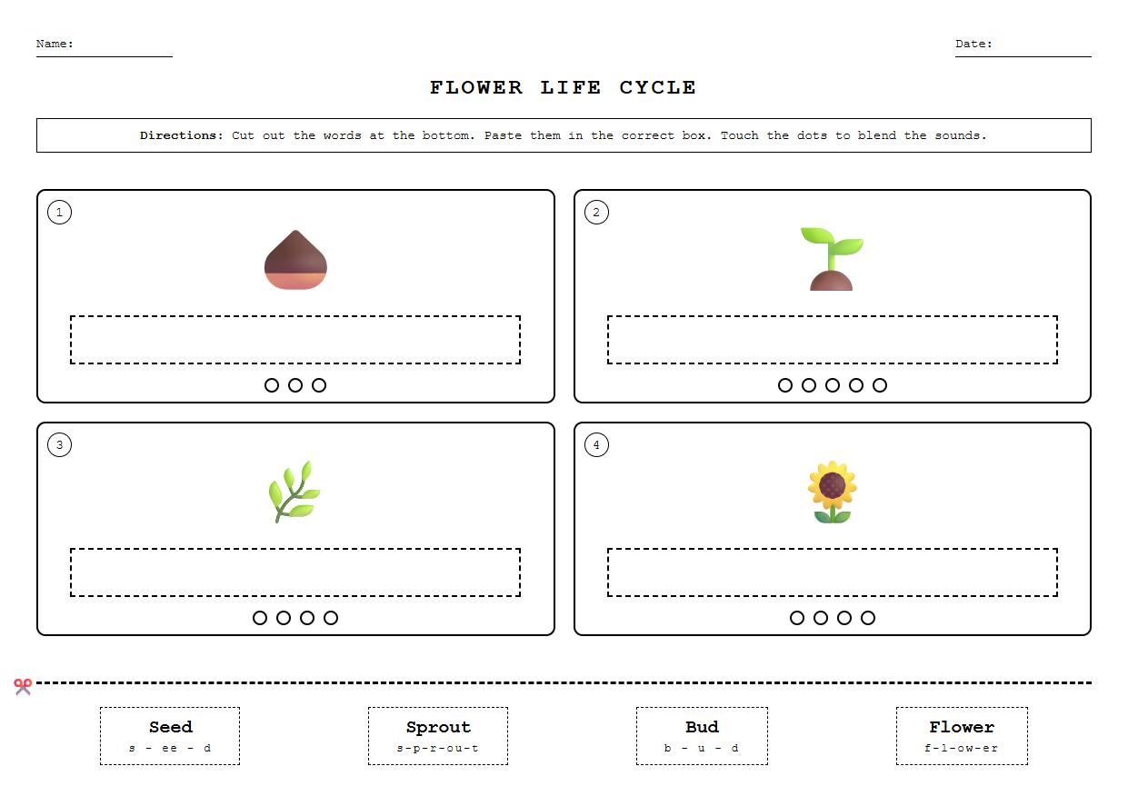 Flower Life Cycle Labeling with Blending Sounds
