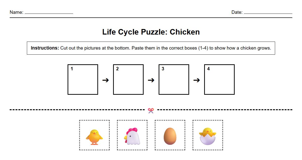 Life Cycle Stages Animal Puzzle Assembly