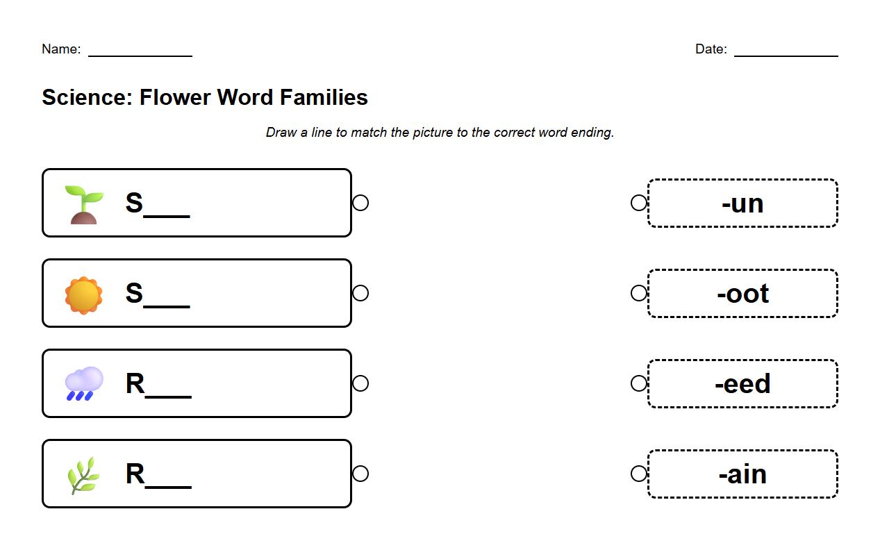 Matching word family endings to descriptions of flower life cycle