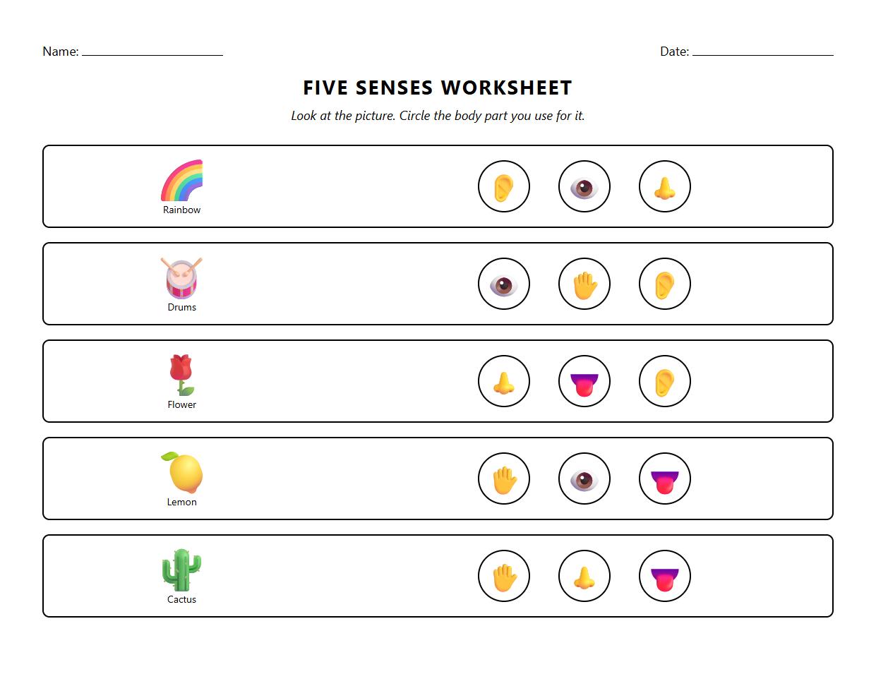 Multiple Choice Worksheet on Functions of the Five Senses