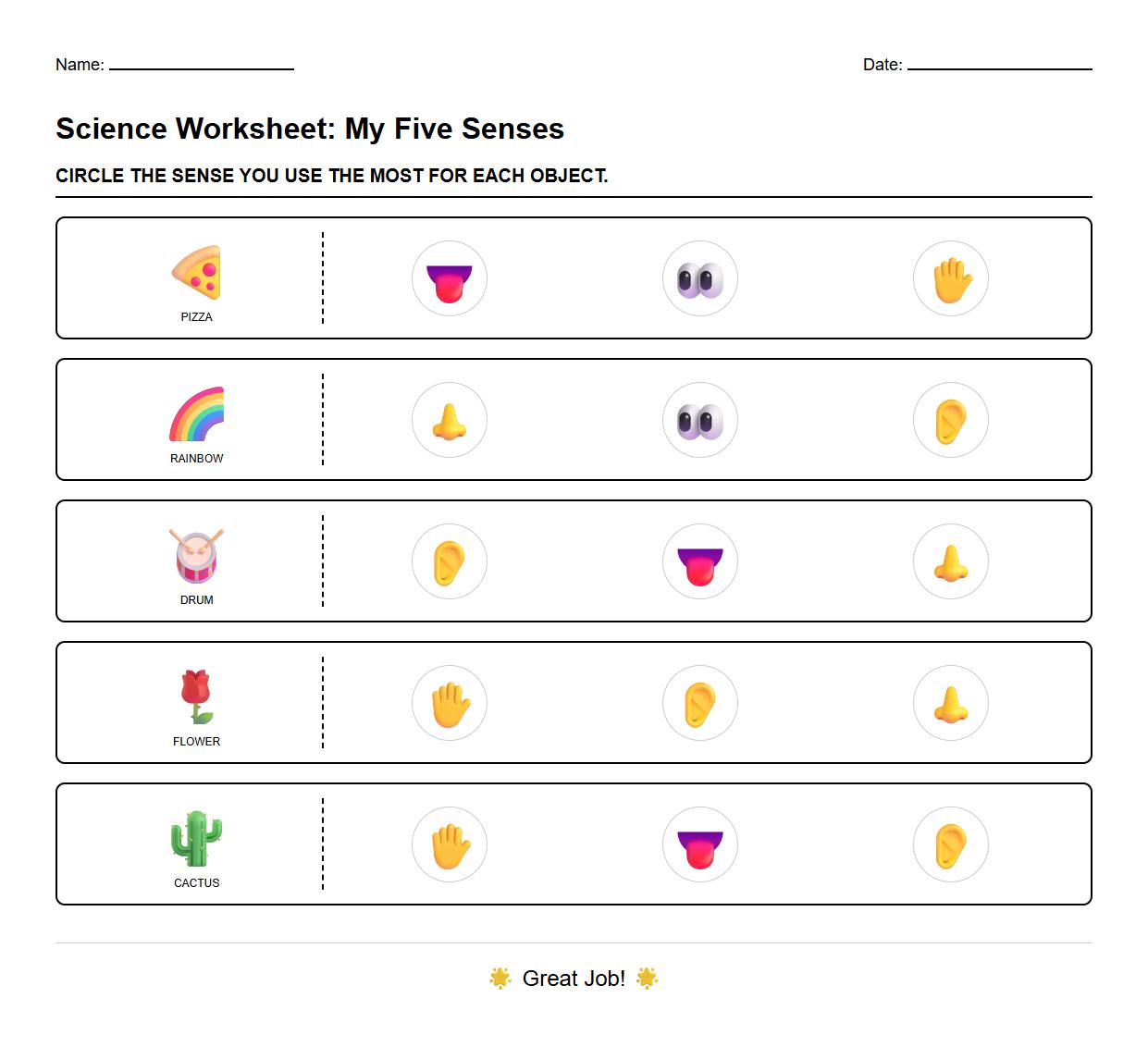 Multisensory Integration and Object Association Worksheet