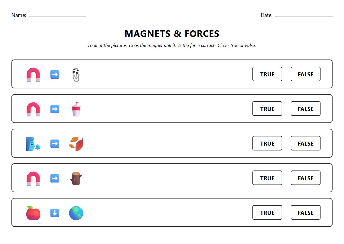 True or False Worksheet on Magnetism and Simple Forces