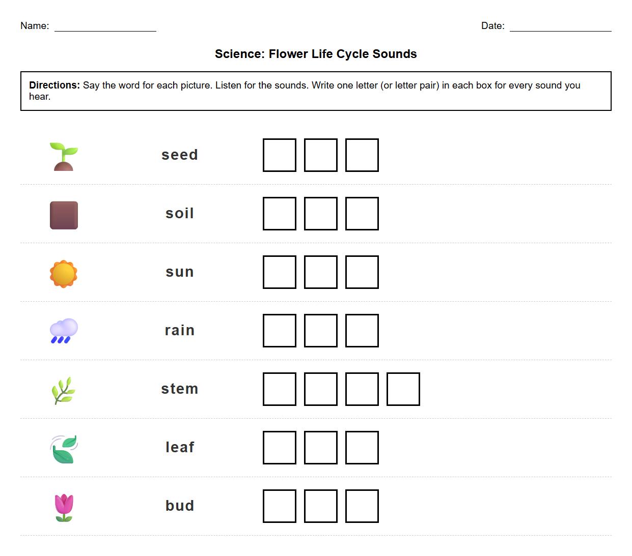 Segmenting Sounds Worksheet for Flower Life Cycle Vocabulary