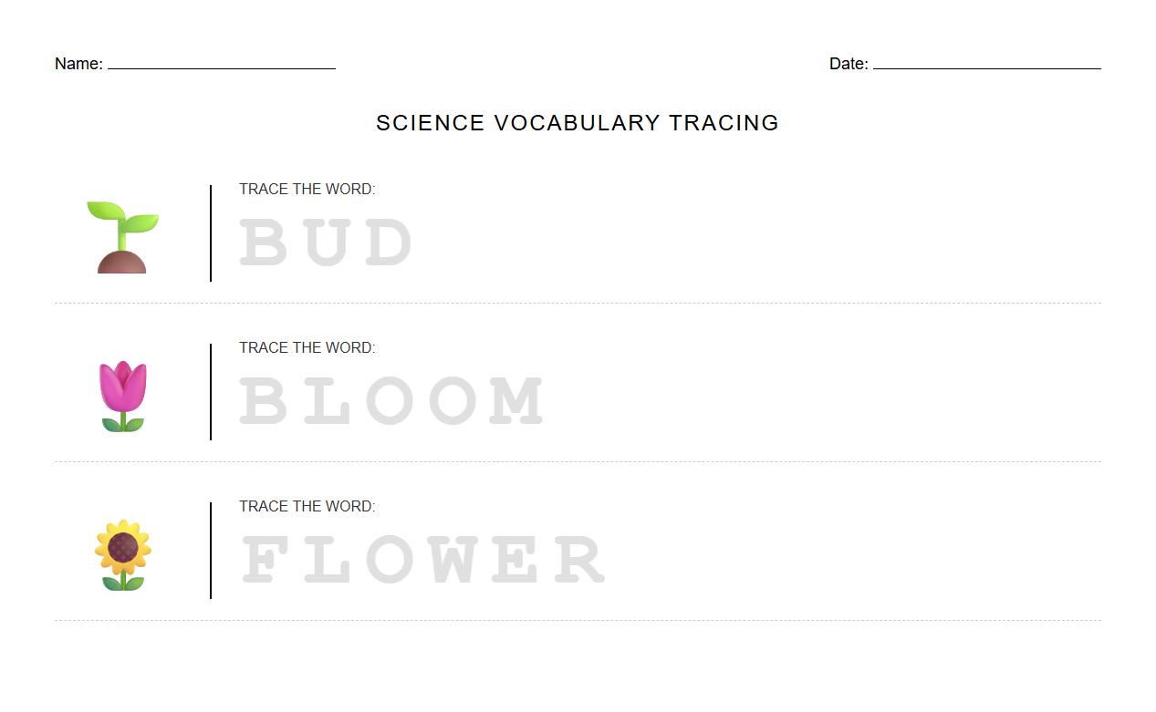 Vocabulary Tracing Sheet for Bud, Bloom, and Flower