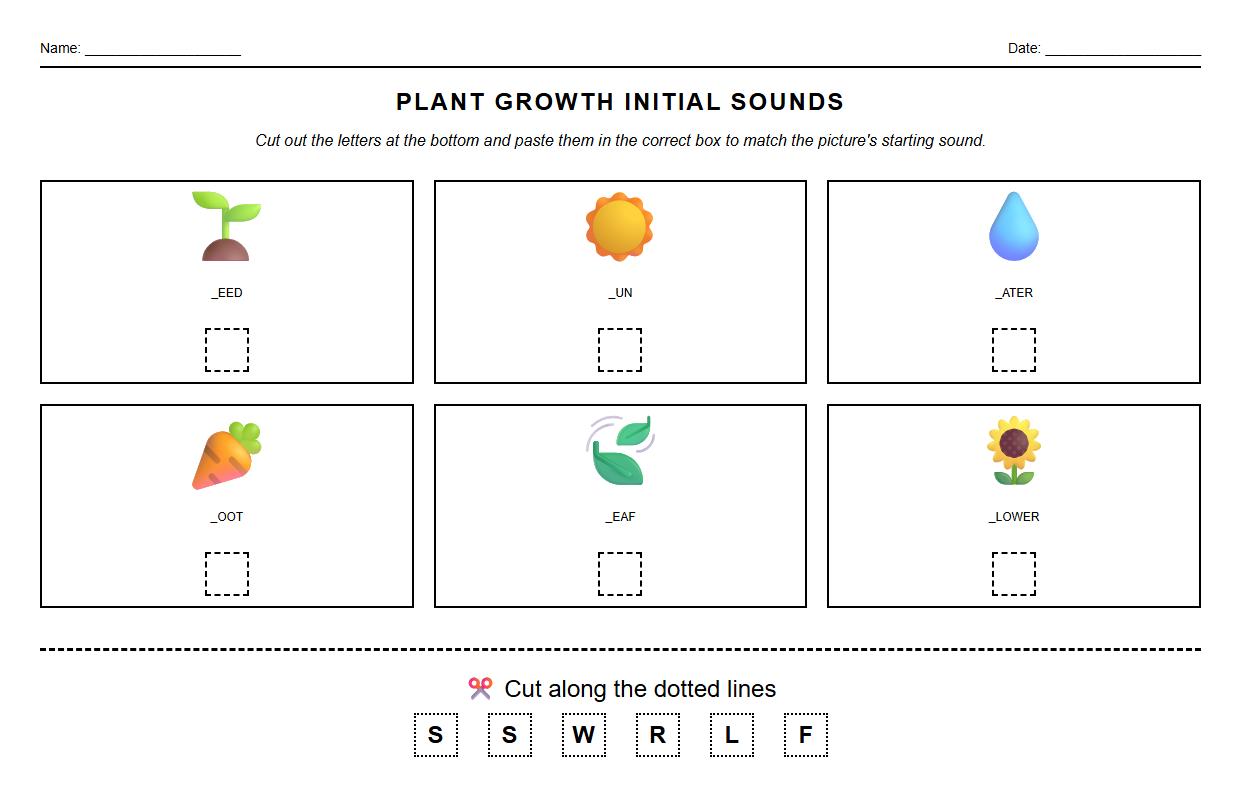 Initial Sounds Cut and Paste Phonics Worksheet for Plant Growth Phases