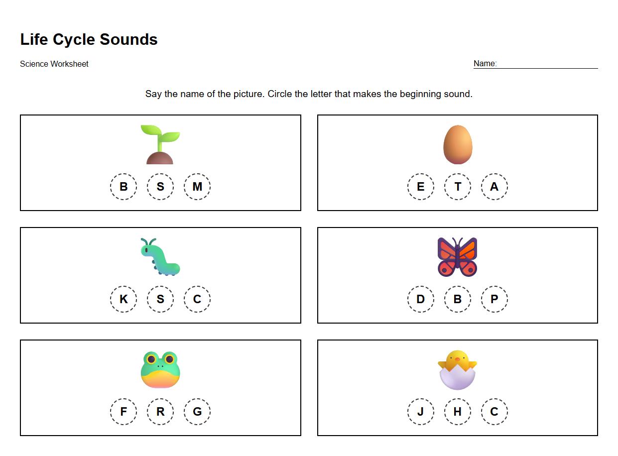 Initial Sounds Identification for Life Cycle Related Words