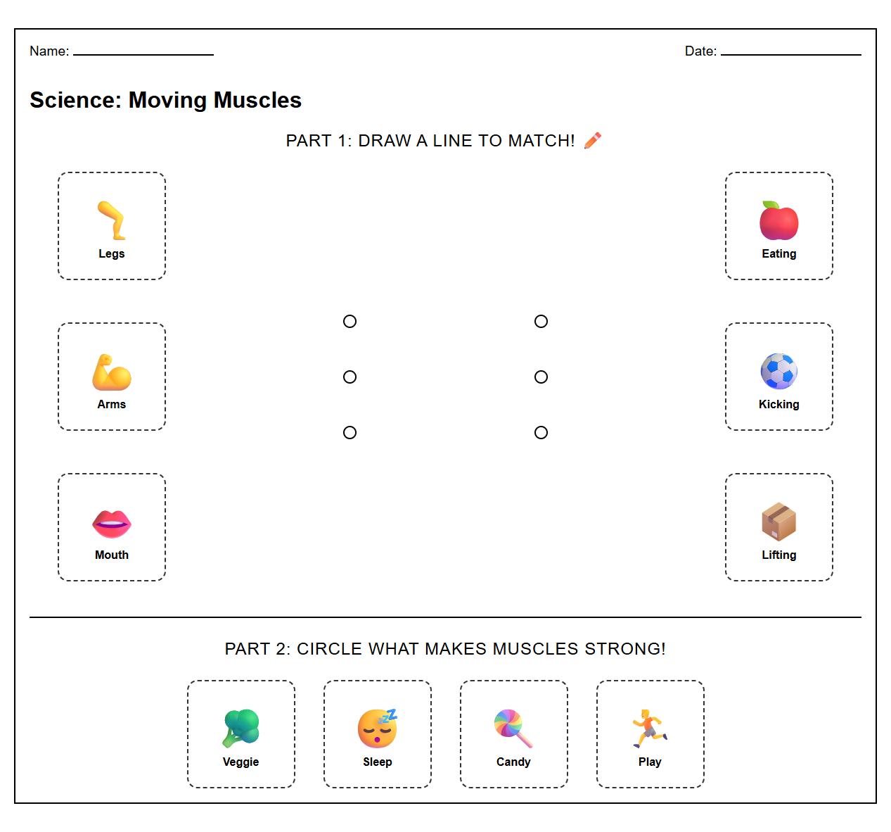 Interactive Muscle Group Illustration Worksheet