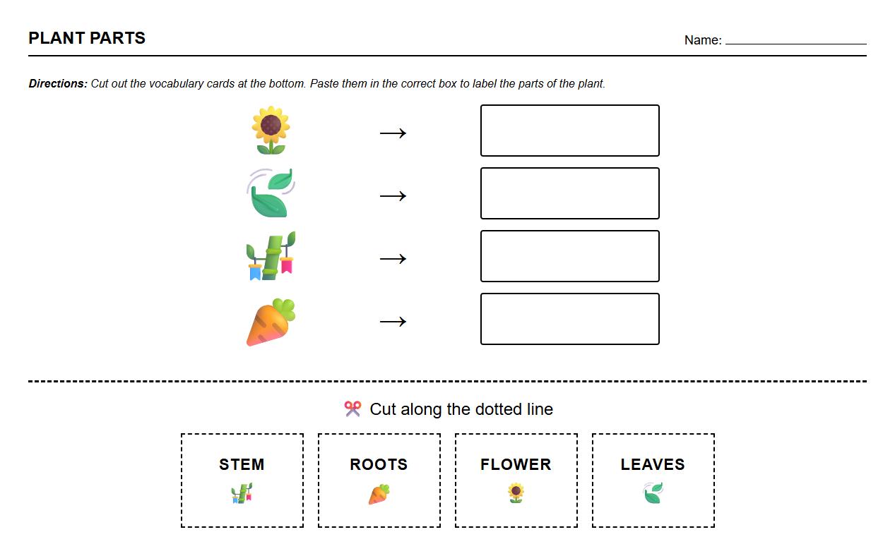 Plant Part Identification Using Visual Vocabulary Cards