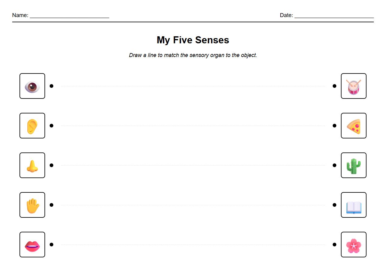 Sensory Organs Recognition and Matching Sheet