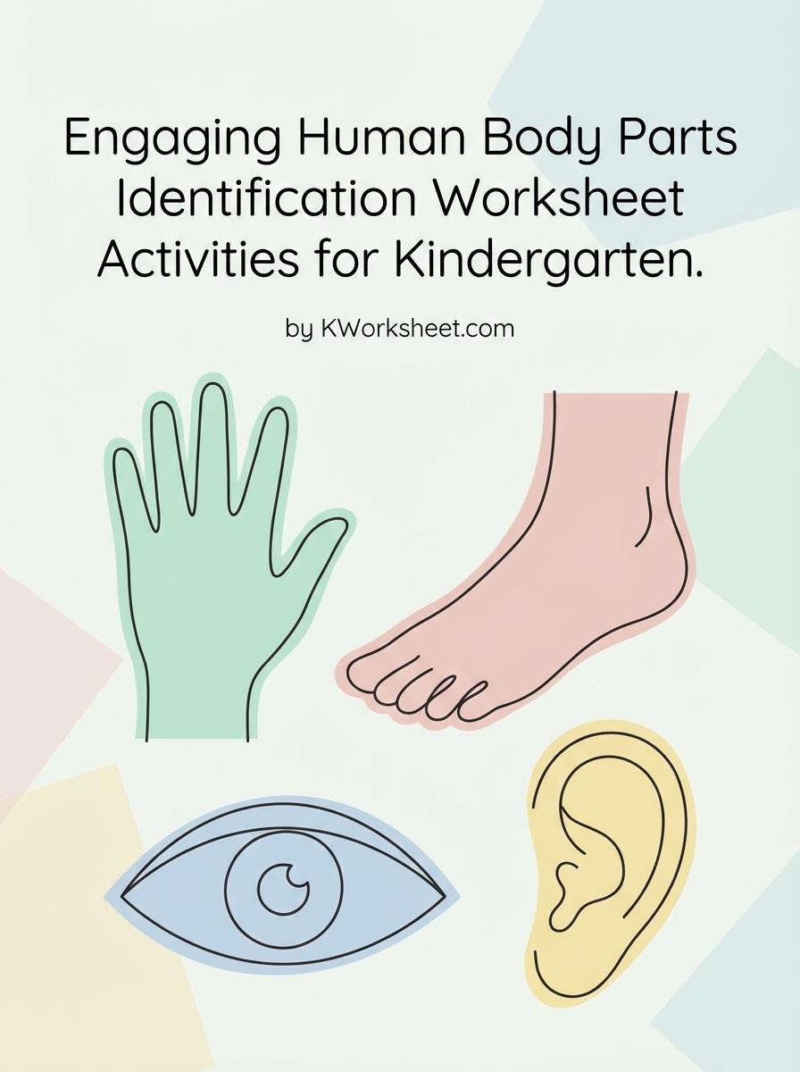 Engaging Human Body Parts Identification Worksheet Activities for Kindergarten